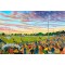 Gander Green Lane Stadium Fine Art Print - Sutton United FC